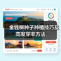 金钱柳种子种植技巧及高发芽率方法（图3）