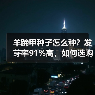 羊蹄甲种子怎么种？发芽率91%高，如何选购？（图1）
