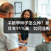 羊蹄甲种子怎么种？发芽率91%高，如何选购？（图4）