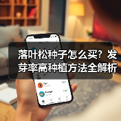落叶松种子怎么买？发芽率高种植方法全解析（图1）