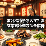落叶松种子怎么买?发芽率高种植方法全解析(图4) 落叶松种子怎么买?发芽率高种植方法全解析(图4)