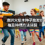 澳洲火焰木种子批发价格及种植方法详解（图1）