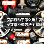 羽扇豆种子怎么选？高发芽率种植方法全解析（图1）