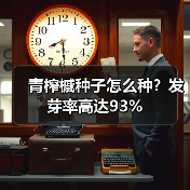 青榨槭种子怎么种？发芽率高达93%（图4）