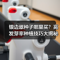 银边翠种子哪里买？高发芽率种植技巧大揭秘（图1）