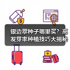 银边翠种子哪里买？高发芽率种植技巧大揭秘（图2）