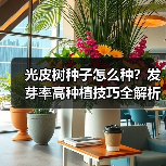 光皮树种子怎么种?发芽率高种植技巧全解析(图1) 光皮树种子怎么种?发芽率高种植技巧全解析(图1)