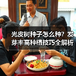 光皮树种子怎么种?发芽率高种植技巧全解析(图2) 光皮树种子怎么种?发芽率高种植技巧全解析(图2)