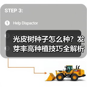 光皮树种子怎么种?发芽率高种植技巧全解析(图3) 光皮树种子怎么种?发芽率高种植技巧全解析(图3)