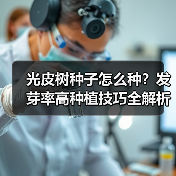 光皮树种子怎么种？发芽率高种植技巧全解析（图4）