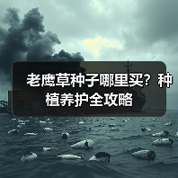 老鹰草种子哪里买?种植养护全攻略(图2) 老鹰草种子哪里买?种植养护全攻略(图2)