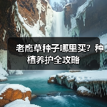 老鹰草种子哪里买?种植养护全攻略(图3) 老鹰草种子哪里买?种植养护全攻略(图3)