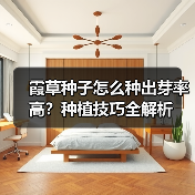 霞草种子怎么种出芽率高？种植技巧全解析（图4）