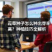 霞草种子怎么种出芽率高?种植技巧全解析(图3) 霞草种子怎么种出芽率高?种植技巧全解析(图3)
