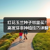 红花玉兰种子哪里买？高发芽率种植技巧详解（图1）