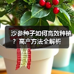 沙参种子如何高效种植？高产方法全解析（图1）