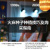 火麻种子种植技巧及购买指南（图1）