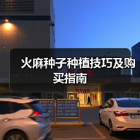 火麻种子种植技巧及购买指南（图4）