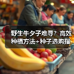 野生牛夕子难寻？高效种植方法+种子选购指南，稳产高收全解析（图2）
