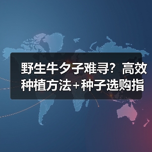 野生牛夕子难寻？高效种植方法+种子选购指南，稳产高收全解析（图1）