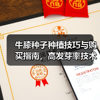 牛膝种子种植技巧与购买指南，高发芽率技术解析（图1）