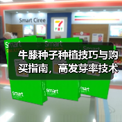 牛膝种子种植技巧与购买指南，高发芽率技术解析（图2）