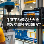 牛蒡子种植方法大全：高发芽率种子哪里买？（图2）