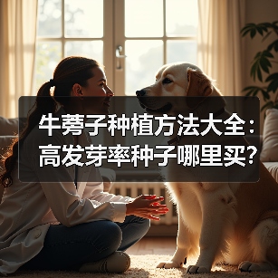 牛蒡子种植方法大全:高发芽率种子哪里买?(图4) 牛蒡子种植方法大全:高发芽率种子哪里买?(图4)