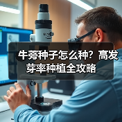 牛蒡种子怎么种？高发芽率种植全攻略（图2）