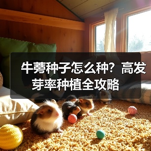 牛蒡种子怎么种？高发芽率种植全攻略（图1）