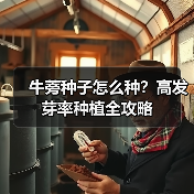 牛蒡种子怎么种？高发芽率种植全攻略（图3）