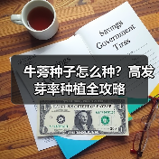 牛蒡种子怎么种？高发芽率种植全攻略（图4）