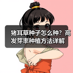猪耳草种子怎么种？高发芽率种植方法详解（图1）