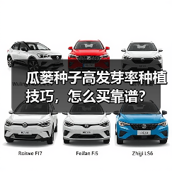 瓜蒌种子高发芽率种植技巧，怎么买靠谱？（图2）