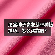 瓜蒌种子高发芽率种植技巧，怎么买靠谱？（图1）