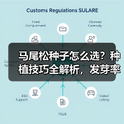 马尾松种子怎么选？种植技巧全解析，发芽率高推荐购买（图1）