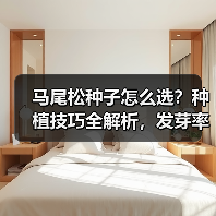 马尾松种子怎么选?种植技巧全解析,发芽率高推荐购买(图3) 马尾松种子怎么选?种植技巧全解析,发芽率高推荐购买(图3)
