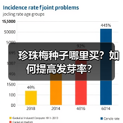 珍珠梅种子哪里买？如何提高发芽率？（图3）