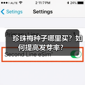 珍珠梅种子哪里买？如何提高发芽率？（图4）