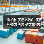 桧柏种子怎么种？实用种植方法及发芽率技巧（图3）