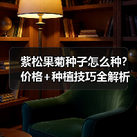 紫松果菊种子怎么种？价格+种植技巧全解析（图2）
