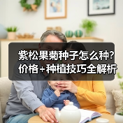 紫松果菊种子怎么种？价格+种植技巧全解析（图3）