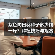 紫色向日葵种子多少钱一斤?种植技巧与观赏价值详解(图3) 紫色向日葵种子多少钱一斤?种植技巧与观赏价值详解(图3)