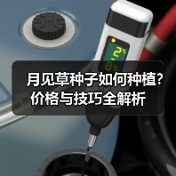 月见草种子如何种植？价格与技巧全解析（图2）
