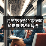 月见草种子如何种植？价格与技巧全解析（图3）