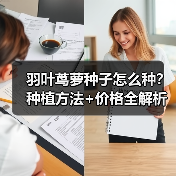 羽叶茑萝种子怎么种？种植方法+价格全解析（图2）