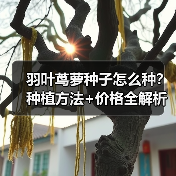 羽叶茑萝种子怎么种？种植方法+价格全解析（图1）