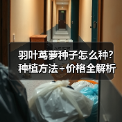 羽叶茑萝种子怎么种？种植方法+价格全解析（图4）