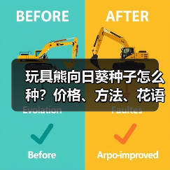 玩具熊向日葵种子怎么种？价格、方法、花语全解析（图4）