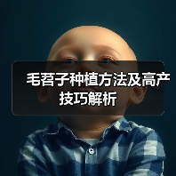 毛苕子种植方法及高产技巧解析（图2）
